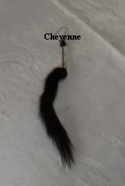 Ohrring Hermelin schwarz